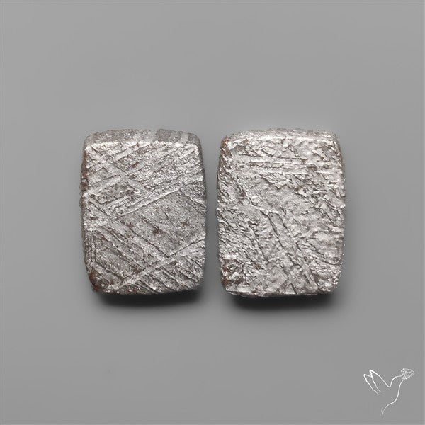 Rare Gibeon Meteorites Pair