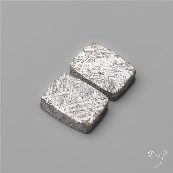 Rare Gibeon Meteorites Pair