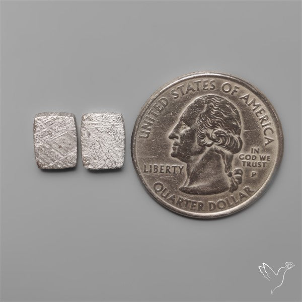 Rare Gibeon Meteorites Pair