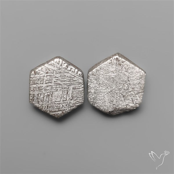 Rare Gibeon Meteorites Pair