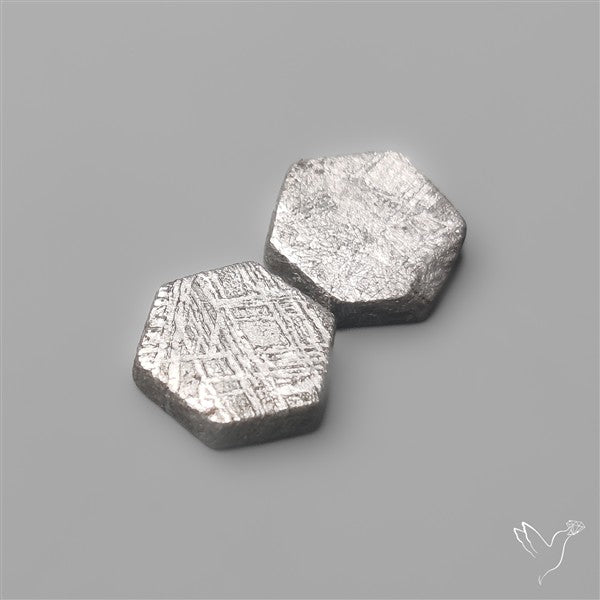 Rare Gibeon Meteorites Pair
