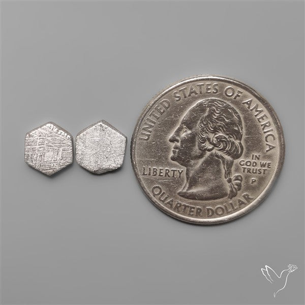 Rare Gibeon Meteorites Pair
