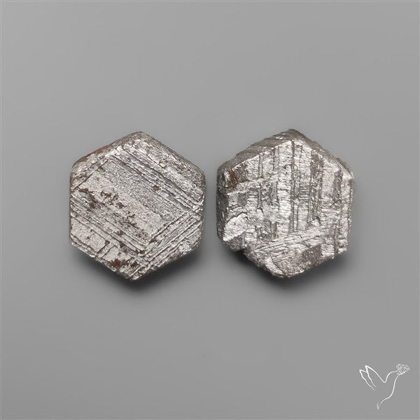 Rare Gibeon Meteorites Pair