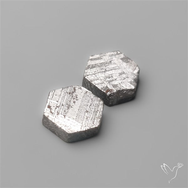 Rare Gibeon Meteorites Pair