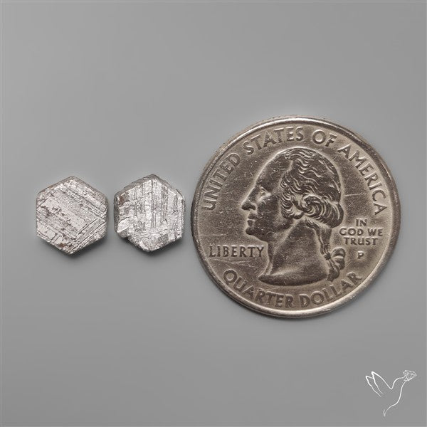 Rare Gibeon Meteorites Pair