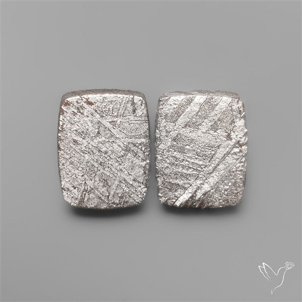 Rare Gibeon Meteorites Pair