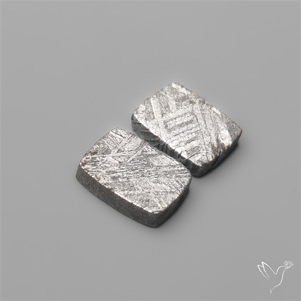 Rare Gibeon Meteorites Pair