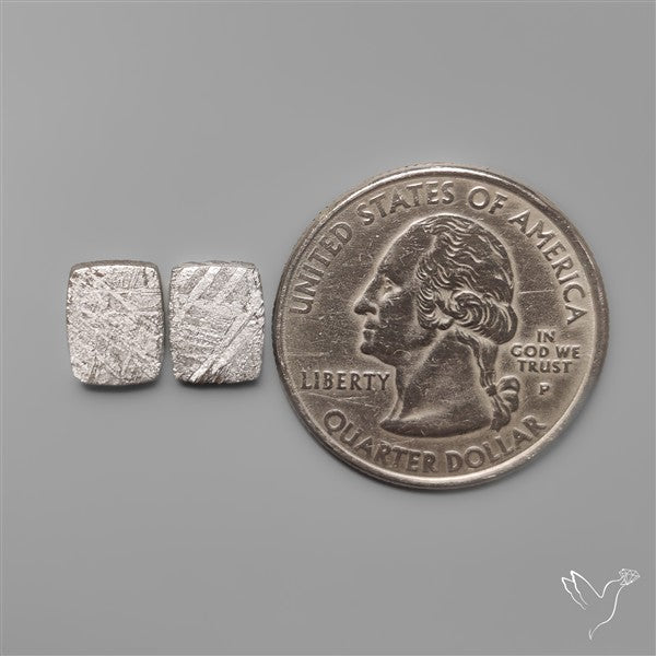 Rare Gibeon Meteorites Pair