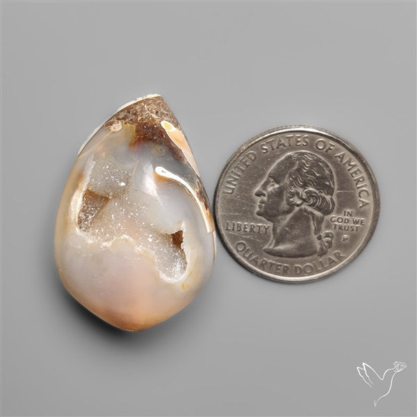 Snail Shell Druzy