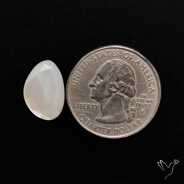 Rose Cut Mother Of Pearl