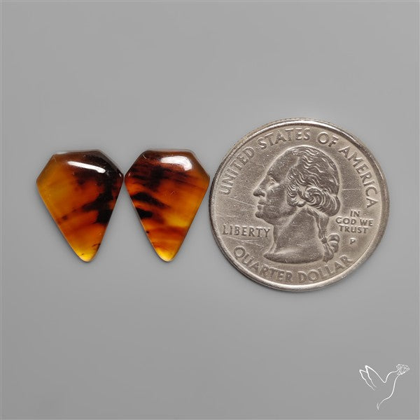 Montana Agates Pair