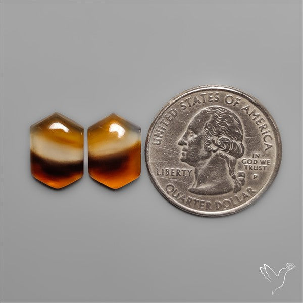 Montana Agates Pair