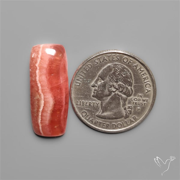 Gemmy Rhodochrosite Cabochon Deep Red