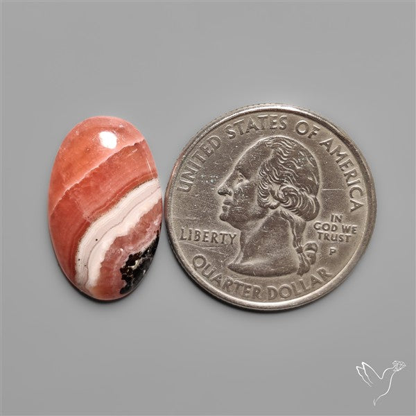 Gemmy Rhodochrosite Cabochon Deep Red