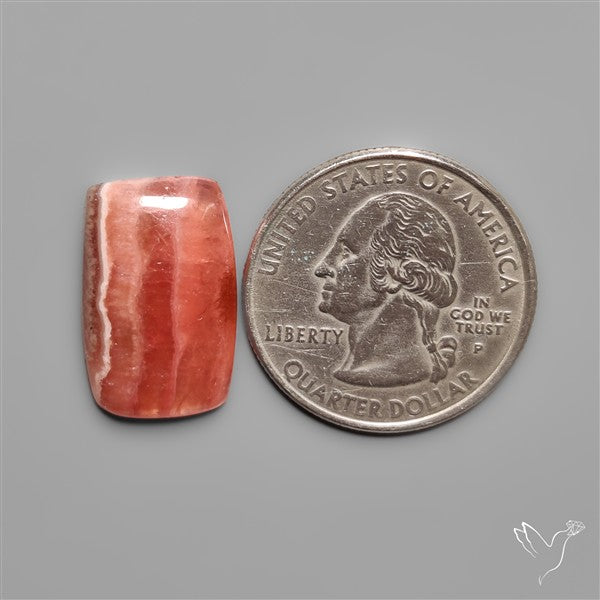 Gemmy Rhodochrosite Cabochon Deep Red