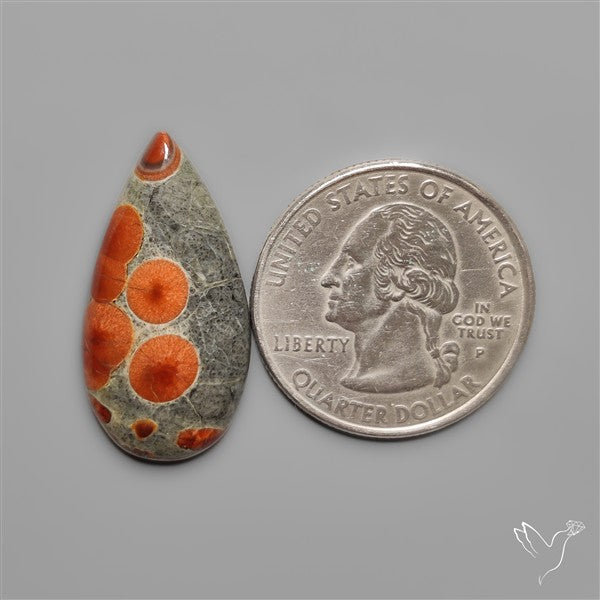 Peanut Obsidian Cabochon