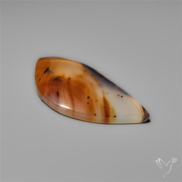 Montana Agate Cabochon