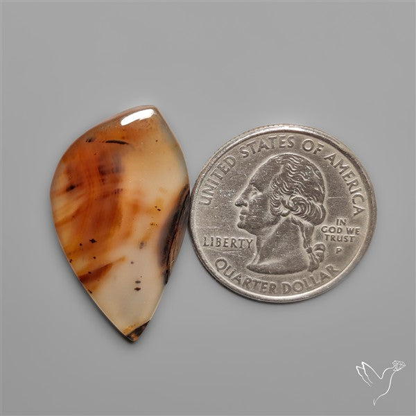 Montana Agate Cabochon