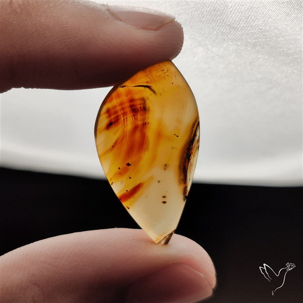 Montana Agate Cabochon