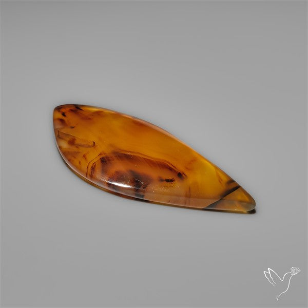 Montana Agate Cabochon