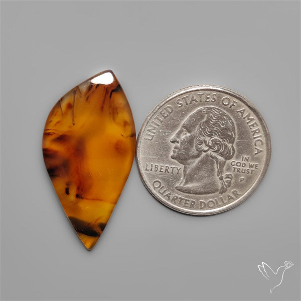 Montana Agate Cabochon