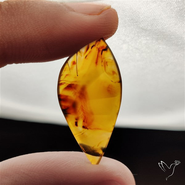 Montana Agate Cabochon