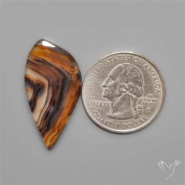 Montana Agate Cabochon