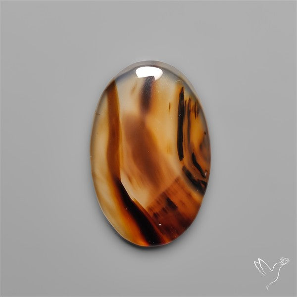 Montana Agate Cabochon