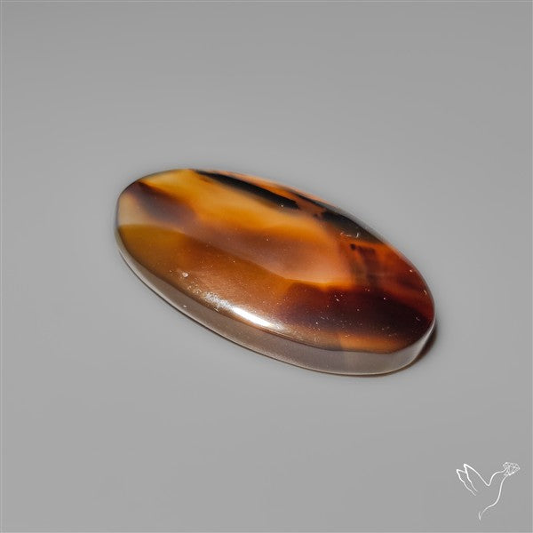 Montana Agate Cabochon