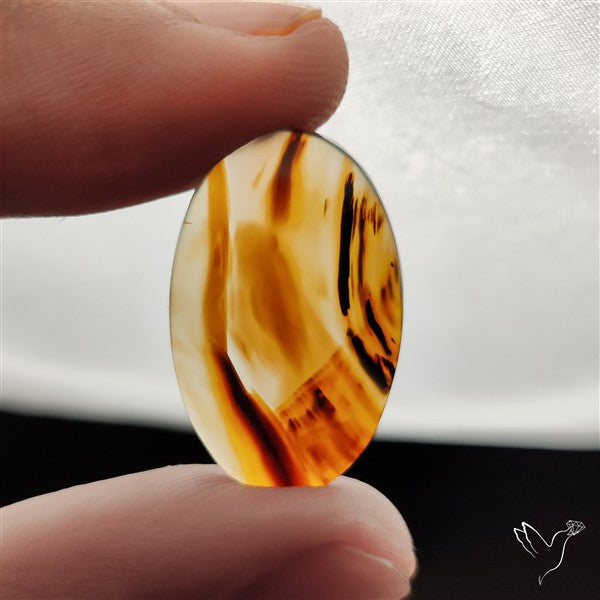 Montana Agate Cabochon