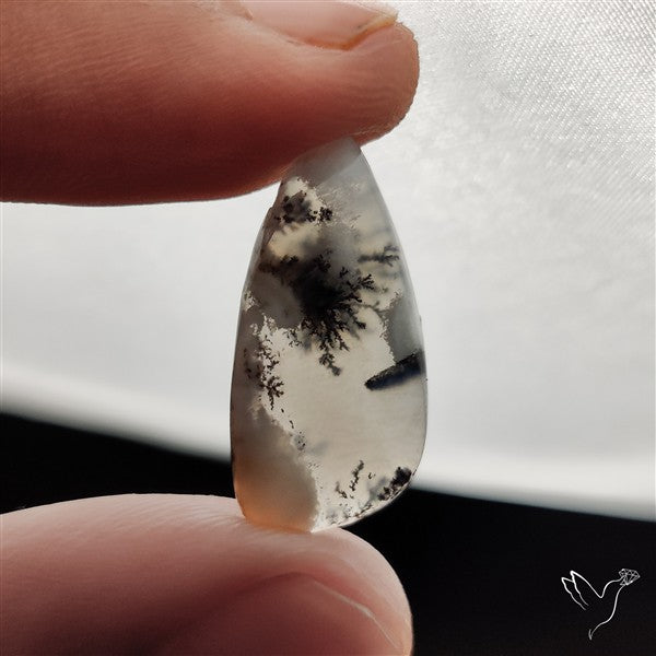 Dendritic Agate Cabochon
