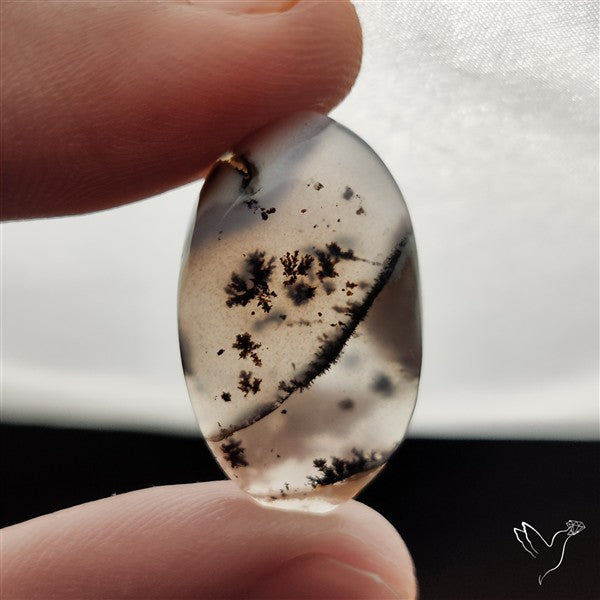 Dendritic Agate Cabochon