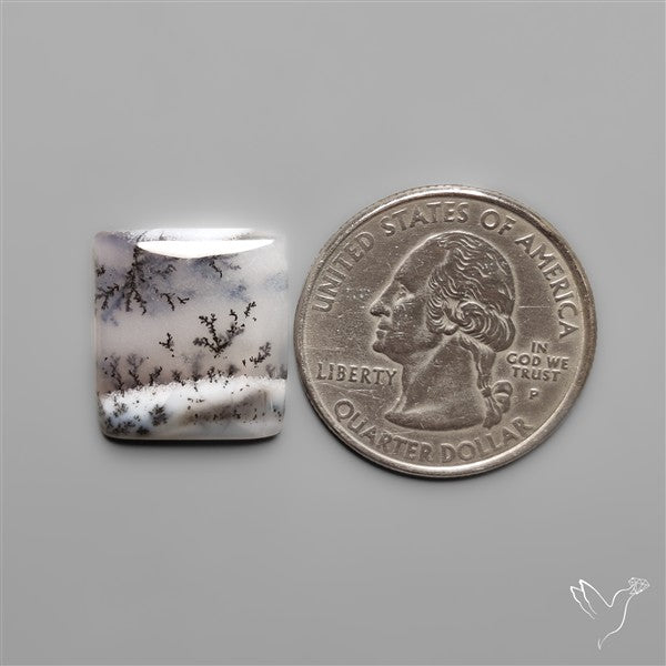 Dendritic Agate Cabochon