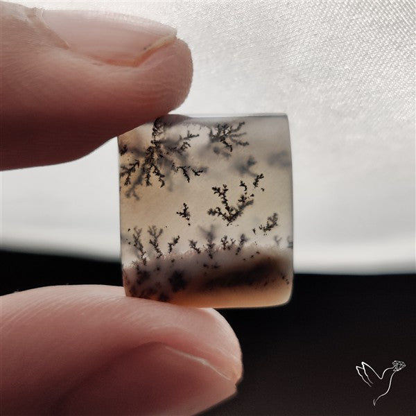 Dendritic Agate Cabochon