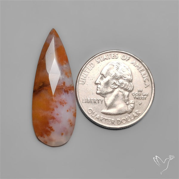 Rose Cut Rare Russian Dendritic Agate