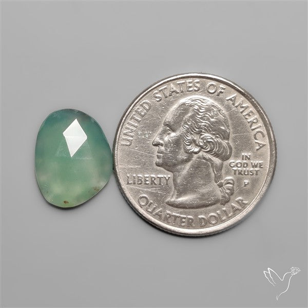 Rose Cut Aqua Chrysoprase