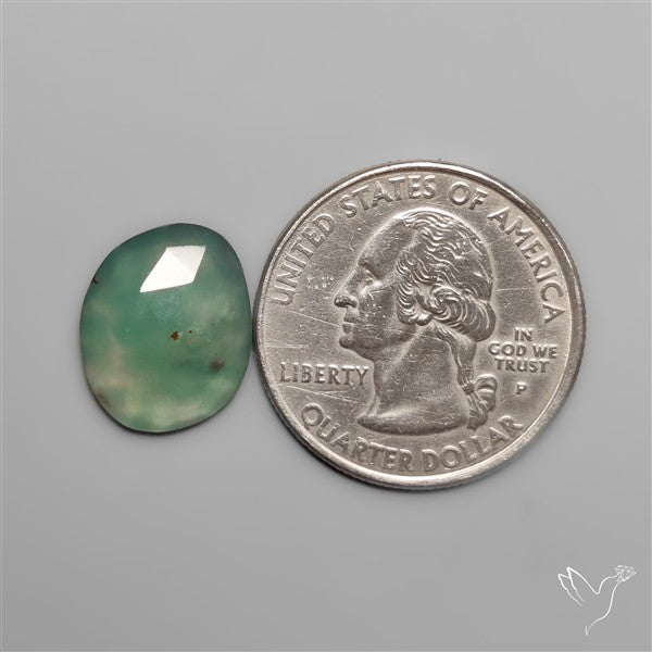 Rose Cut Aqua Chrysoprase