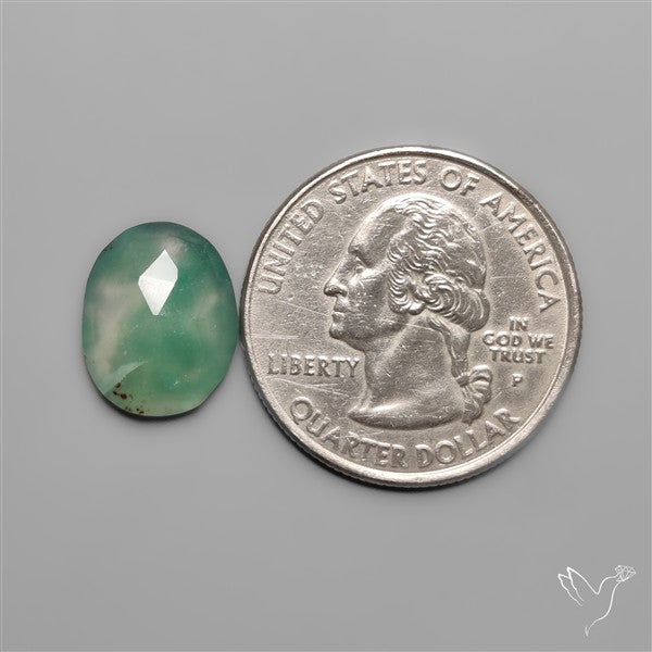 Rose Cut Aqua Chrysoprase
