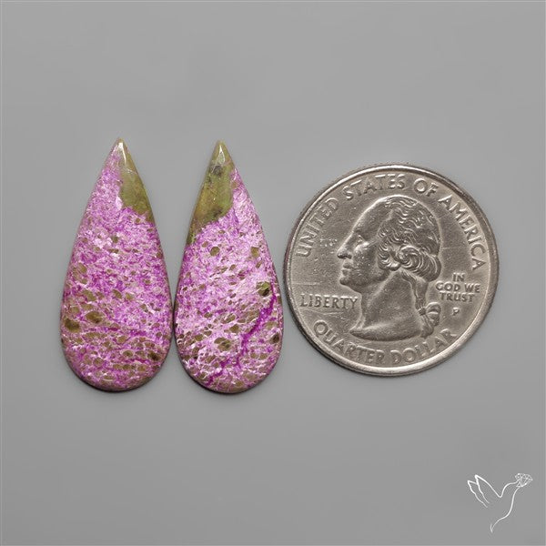 Stitchtite Pair