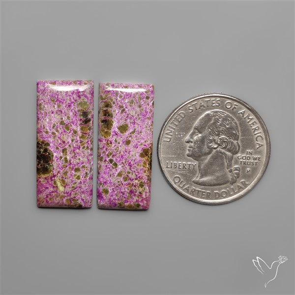 Stitchtite Pair