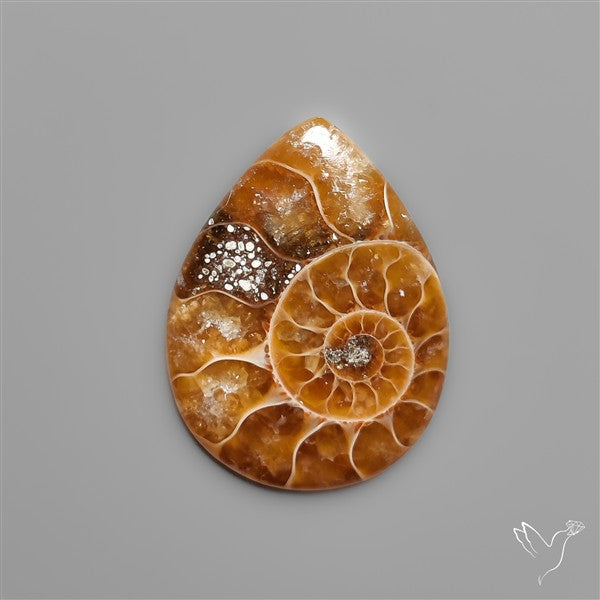 Fossilized Ammonite Cabochon Small