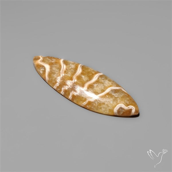 Suture Ammonite Fossil Cabochon