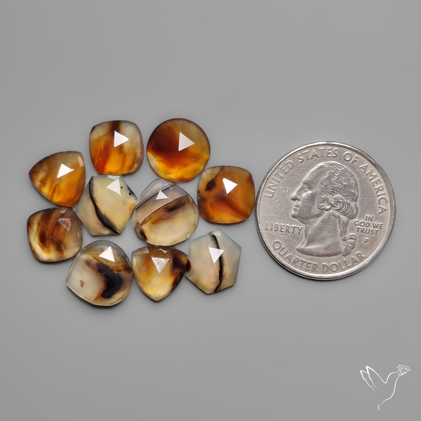 Rose Cut Montana Agates Lot