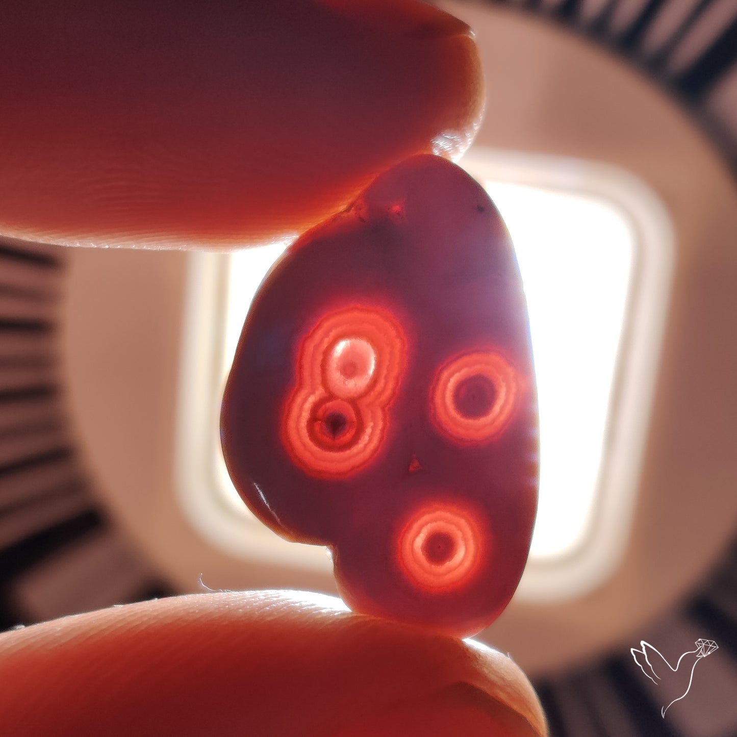 Rare Rhodochrosite Stalactite