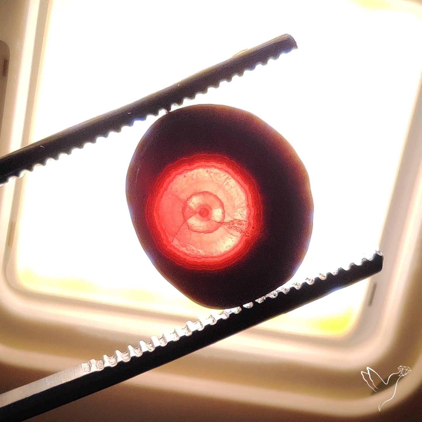 Rare Rhodochrosite Stalactite