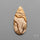 Deschutes Picture Jasper Cabochon