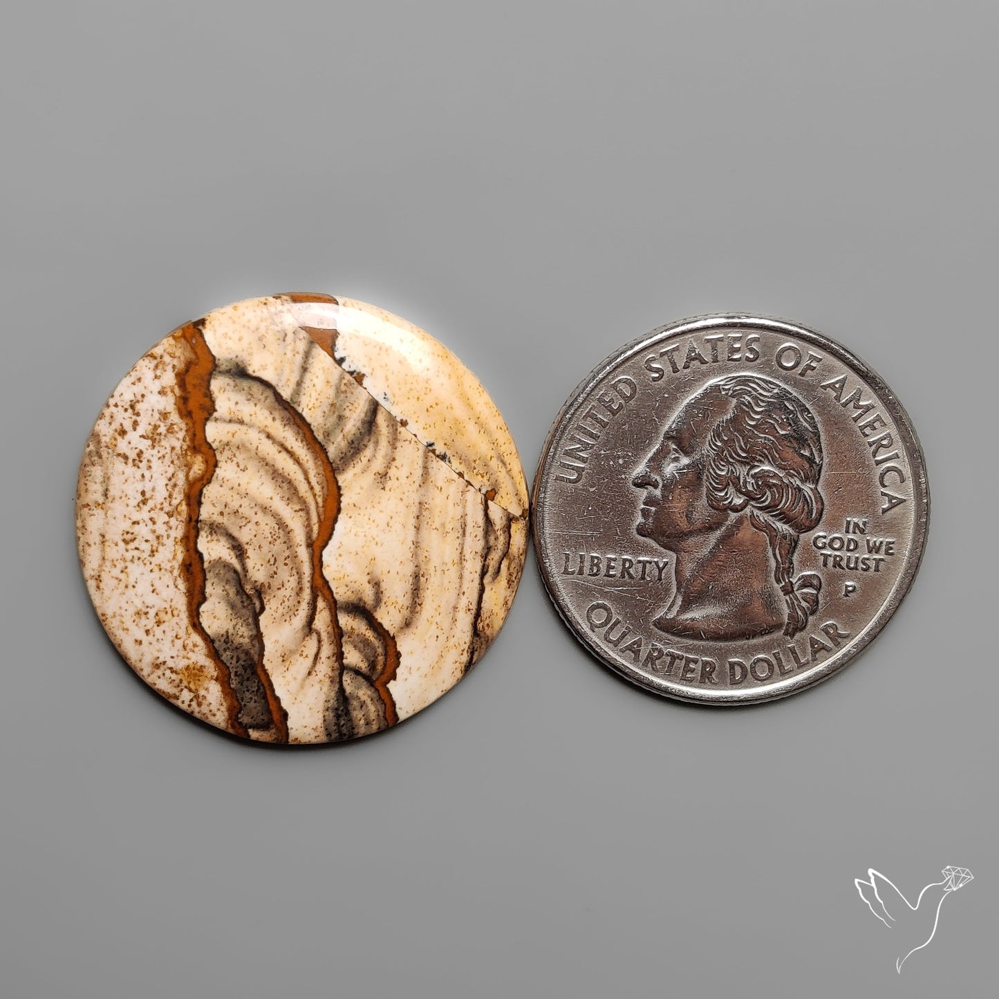 Deschutes Picture Jasper Cabochon