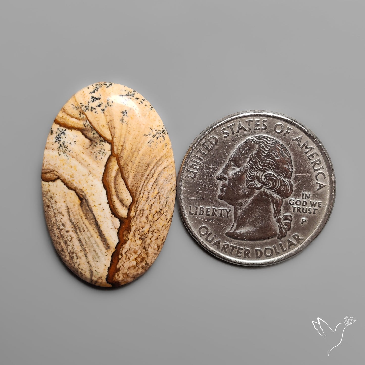 Deschutes Picture Jasper Cabochon