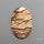 Deschutes Picture Jasper Cabochon