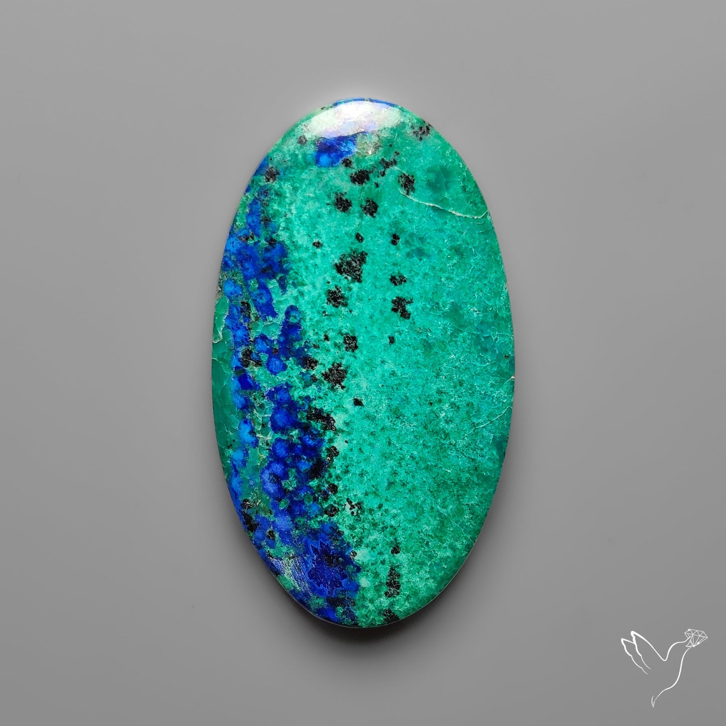 Bluebird Azurite Cabochon